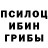 Галлюциногенные грибы Psilocybine cubensis Ivan Kevrov