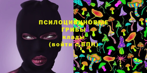 МДПВ Белокуриха
