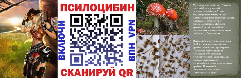 Галлюциногенные грибы Magic Shrooms  купить наркотики цена  Верхний Уфалей 