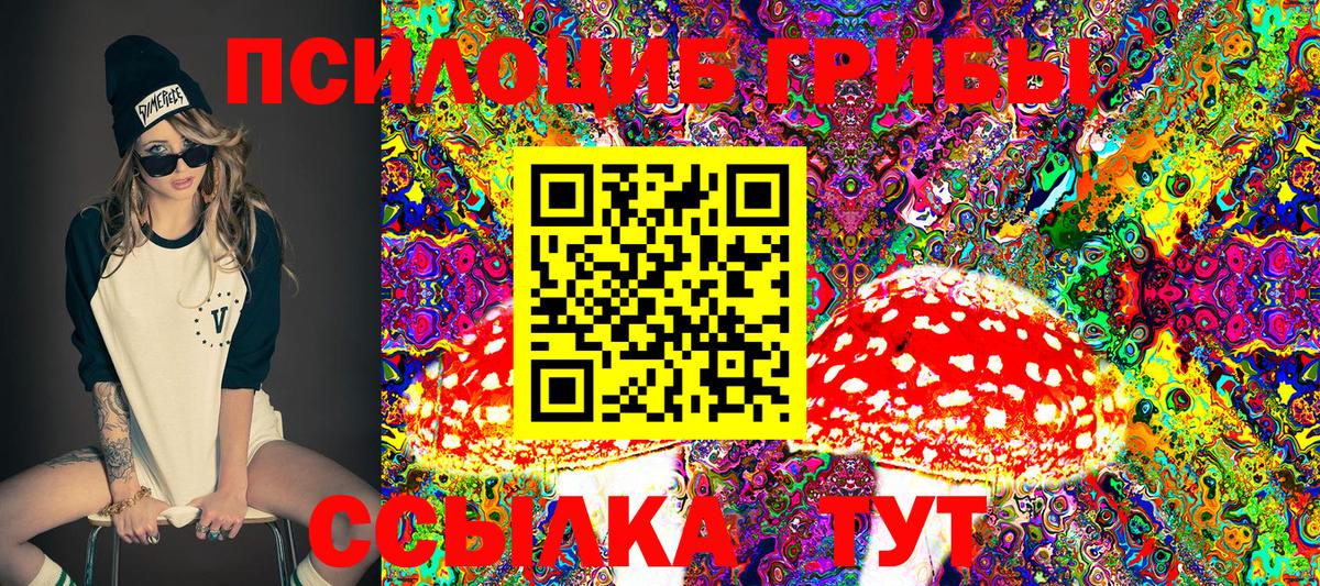 Верхний Уфалей  Псилоцибиновые грибы GOLDEN TEACHER  Псилоцибиновые грибы Psilocybe  Вход с VPN 