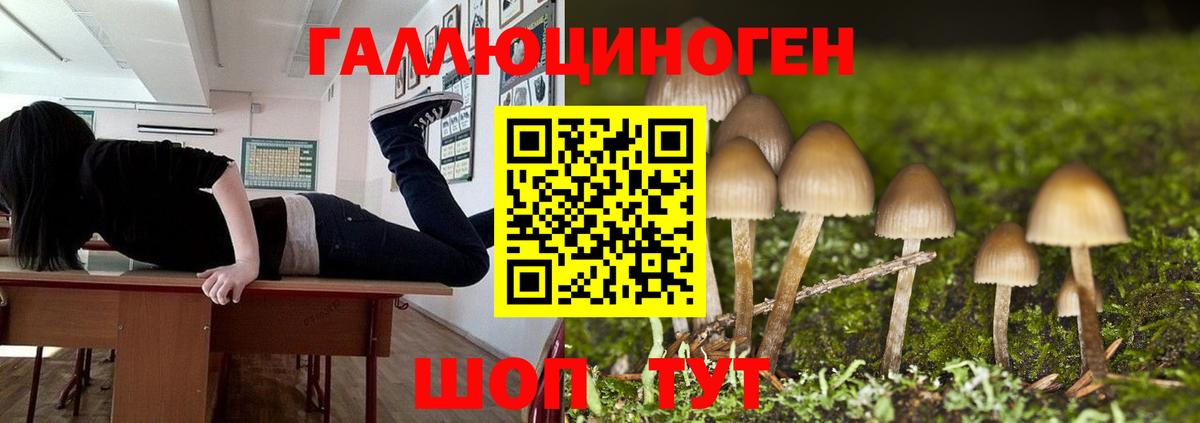 Псилоцибиновые грибы Cubensis Верхний Уфалей